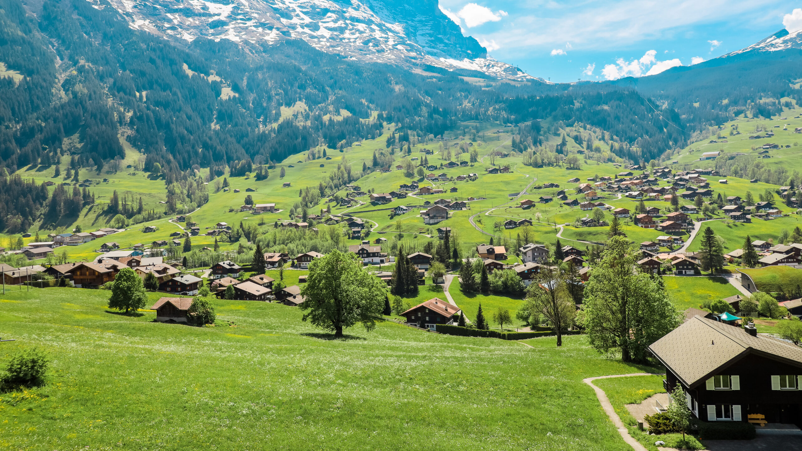 Statistischer Überblick Regionalkonferenz OberlandOst IC Infraconsult